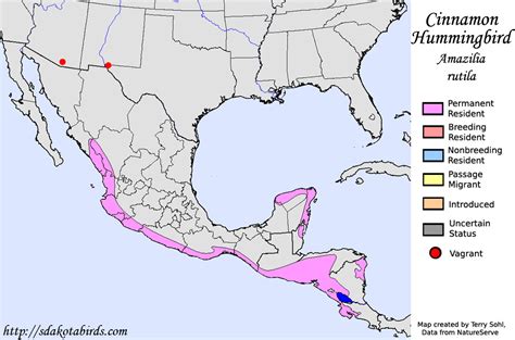 Image result for Map of Hummingbird Types Locations