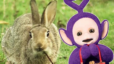 Image result for Teletubbies Look US Version