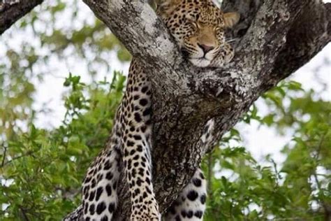 3 days adventure queen Elizabeth national park | Kampala, Uganda