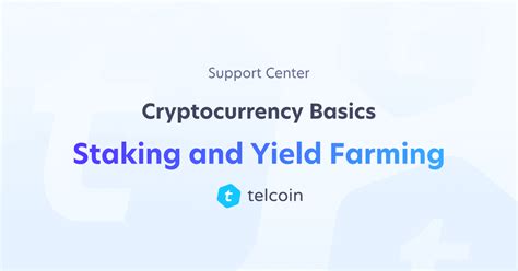 Staking and Yield Farming - Cryptocurrency Basics
