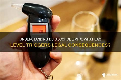 DUI Alcohol Level 的图像结果