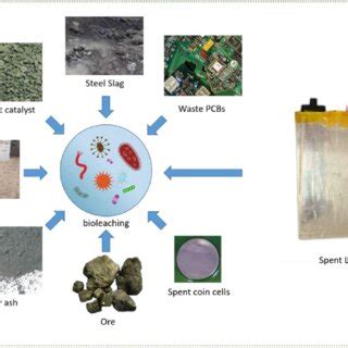 Image result for Bioleaching Process