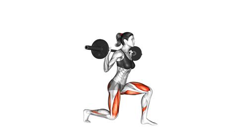Barbell Split Squat (female): Video Guide & Tips For Effective Workout