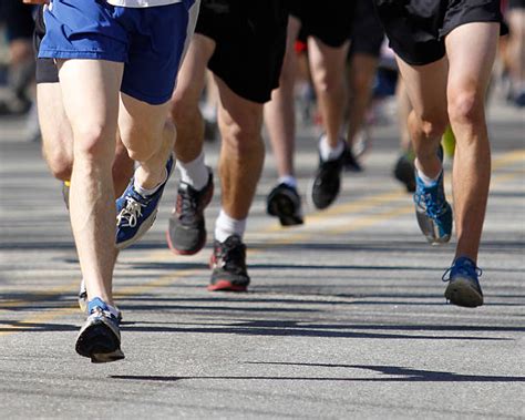 Road Runner Running Real Life 的图像结果