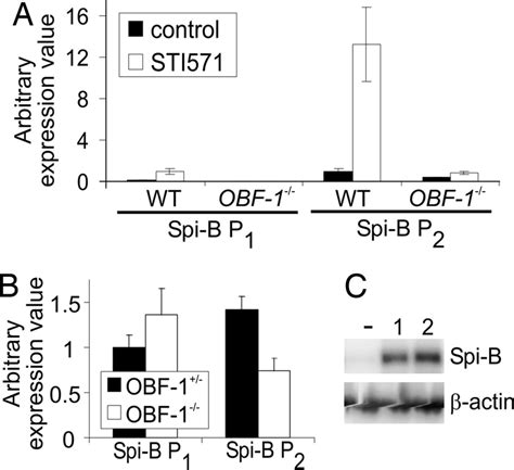 Stem OBF 的图像结果