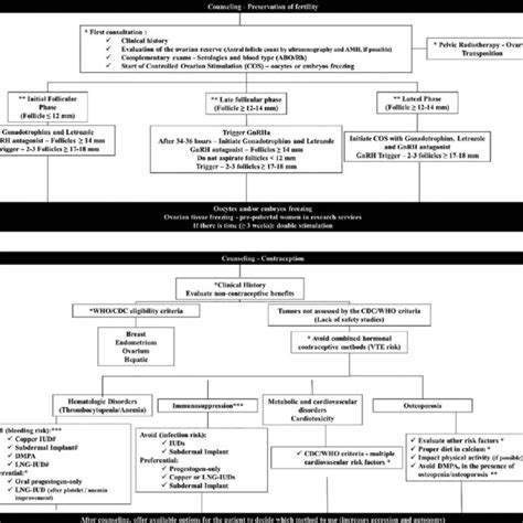 Image result for A Flowchart That Show the Process of Conception