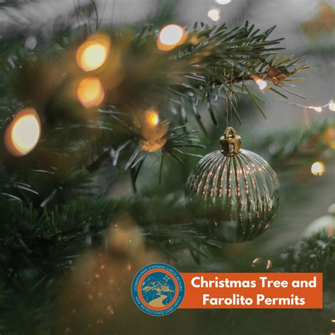 Christmas Trees and Farolitos | NM State Land Office