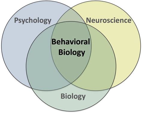 Behavioral Science 的图像结果