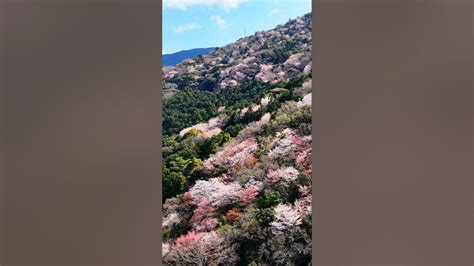 Image result for Build in Class in Python Image