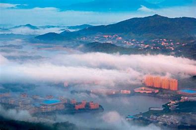 泉州seo自然排名 的图像结果