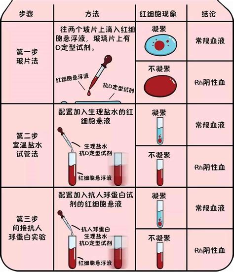 Rh血型与新生儿溶血病