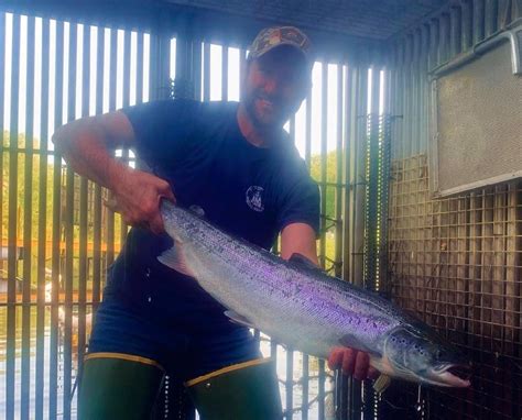 Atlantic Salmon Conservation in Downeast Rivers Connectivity ...