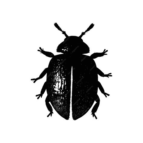 Elegant Black and White Beetle Silhouette Illustration | Premium AI ...