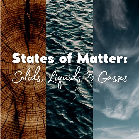 Particle Model 的图像结果