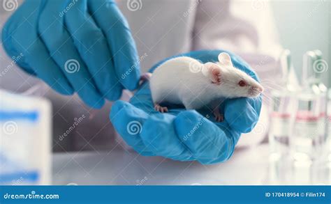 Image result for Subcutaneous Injection Mouse