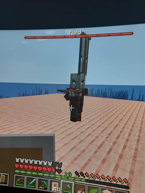 Image result for Minecraft Raid Farm 1.17 Java Automatic Reset