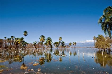 LAKE ENRIQUILLO (LAGO ENRIQUILLO) (2026) All You Need to Know BEFORE ...