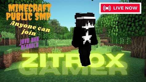 Joignable SMP Java 的图像结果