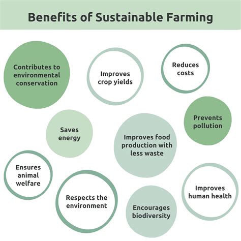 Economic And Social Benefits Of Sustainable Agriculture For Tribal Communities