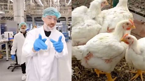 Viral News: Trending Stories, Videos & Internet Buzz | FPJ