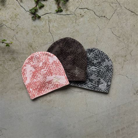 Install Beanie Python 的图像结果