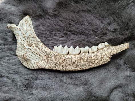 Pyrography On Bone 的图像结果