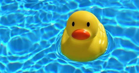 Die Enten sind los! – Wettschwimmen auf dem Leitgraben in Neumarkt ...