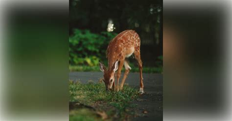 Miller Funeral Home & Crematory Somerset, Pennsylvania (PA) | Who Passed On