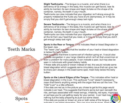 Tongue Diagnosis Diagram High Quality And Unqualified Tongue Images.