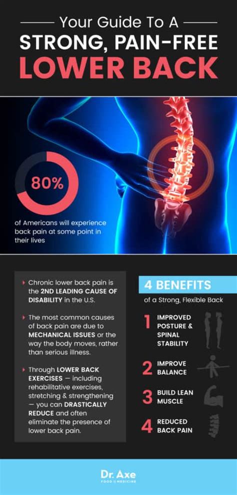 Image result for Lower Back Muscle Strain Exercises