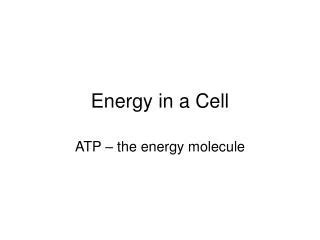Energy Molecule 的图像结果