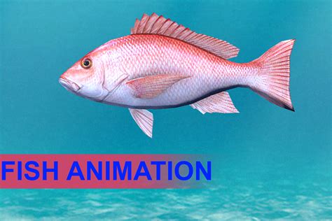 Fish animations | 캐릭터 | Unity Asset Store