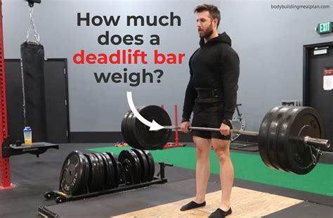 Dr Mike Israetel Height, Weight, & Training Principles