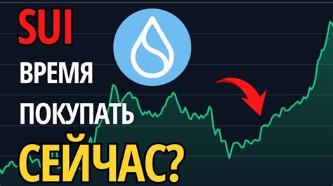 Обзор криптовалюты SUI Network Прогноз Цены Токена SUI на 2025 - YouTube