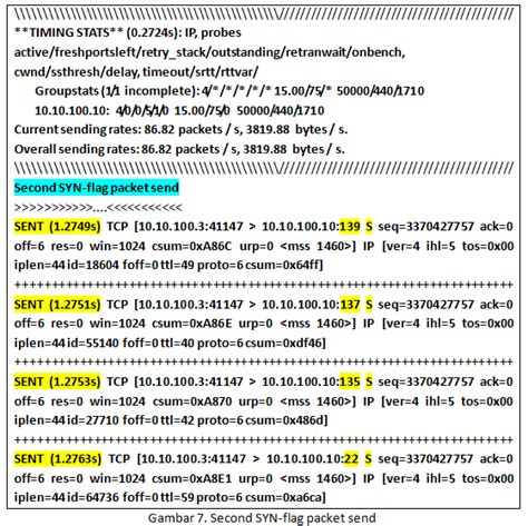 Nmap Port Scanning 的图像结果