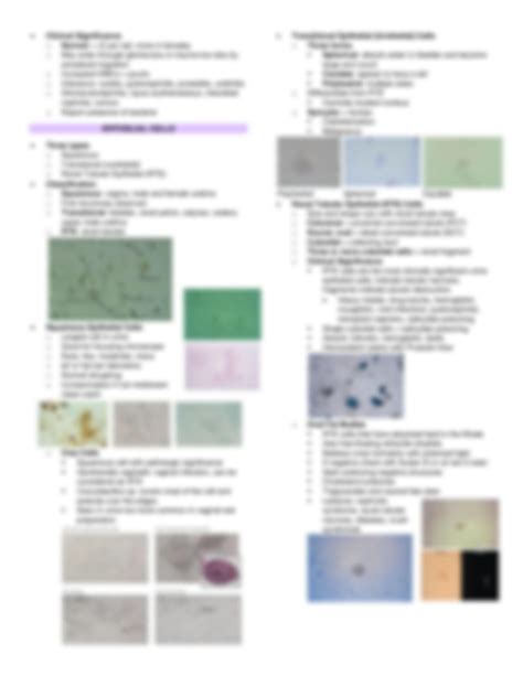 SOLUTION: Urinalysis and other body fluids 04 microscopic urine ...