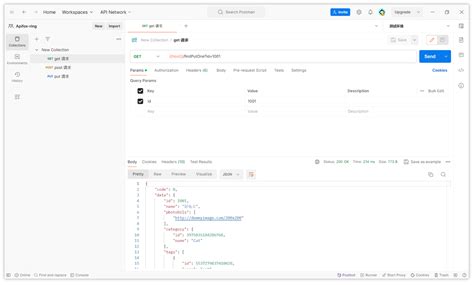 Postman API Get 的图像结果