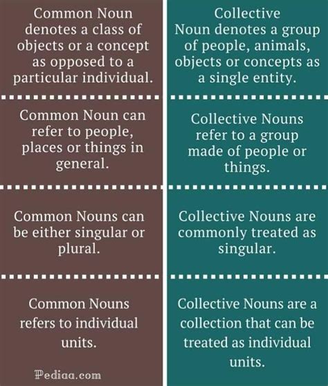 what is difference between common and collective noun Related: Noun ...