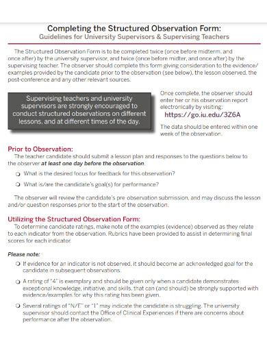 Image result for Focused Observation Examples