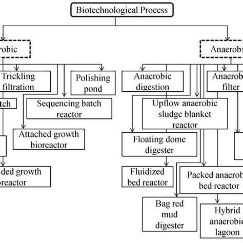 Biotechnical Process 的图像结果