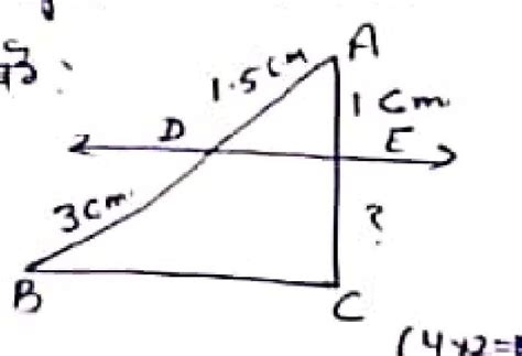 in the fig DE || BC then find EC - Brainly.in