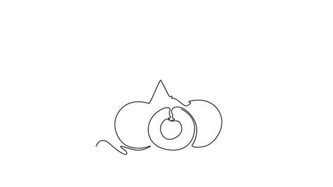 Image result for Free Fruit Animation Script