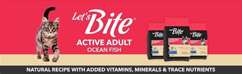 Let's Bite Active Adult Dry Cat Food, 400g (Buy 1 Get 1 Free), Total ...