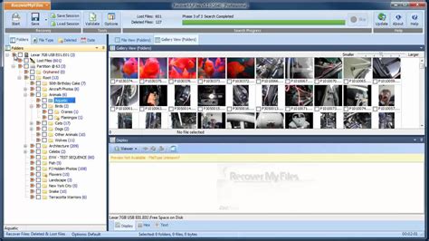 Recover My Files Free Download 的图像结果