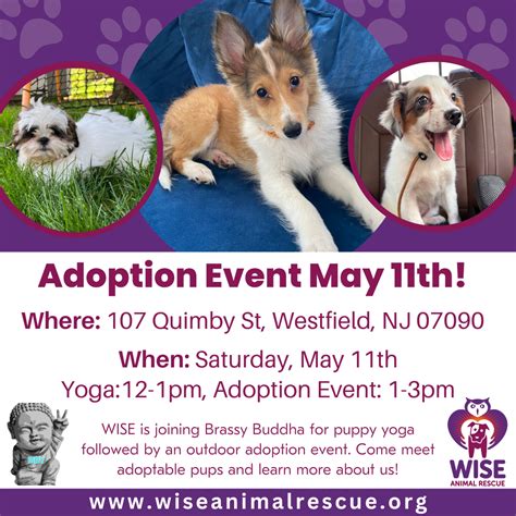 Brassy Buddha Presents: Puppy Yoga | Wise Animal Rescue