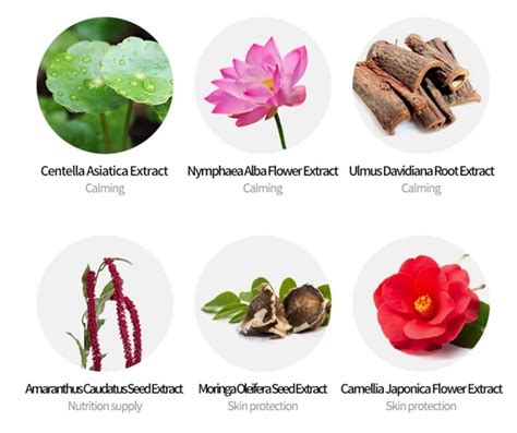 Buy HISTOLAB Azulene Tone-Up Cream - 50ml at Ubuy India