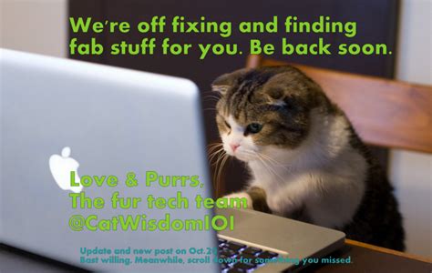 Image result for Cat Fixing Computer