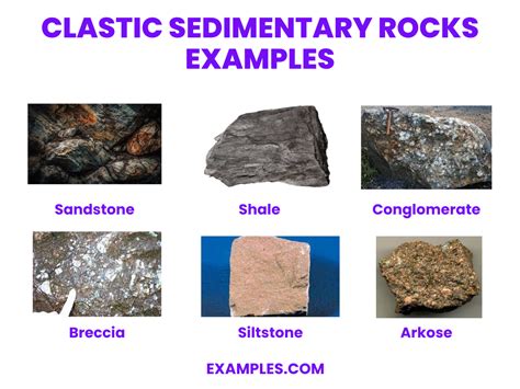 8+ Sedimentary Rocks Examples
