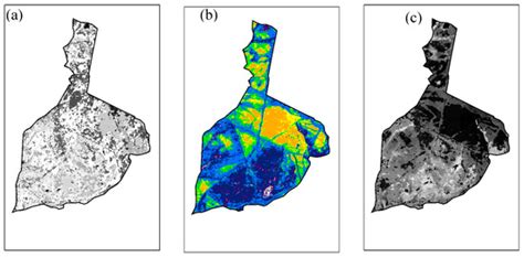 Decomposing the Interactions between Fire Severity and Canopy Fuel ...