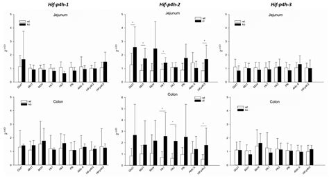 Expression and Roles of Individual HIF Prolyl 4-Hydroxylase Isoenzymes ...